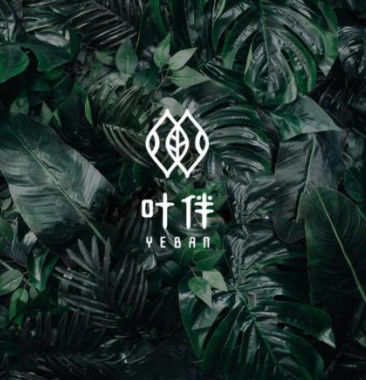  绿植LOGO设计 ：叶伴【2000元】